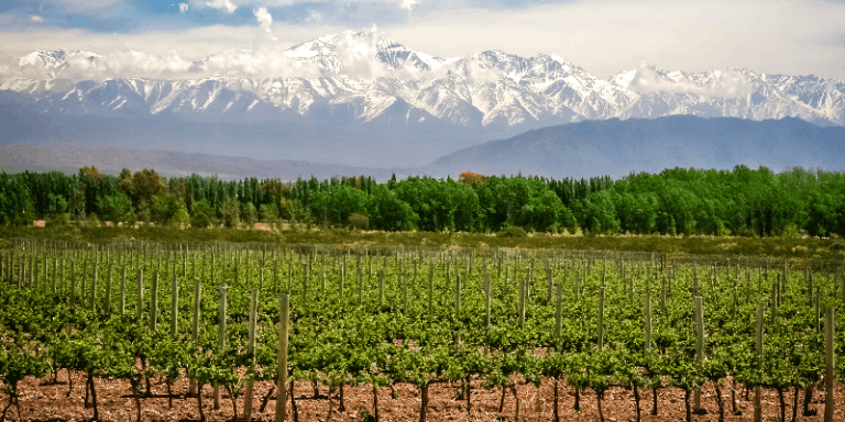 winery located in mendoza argentina