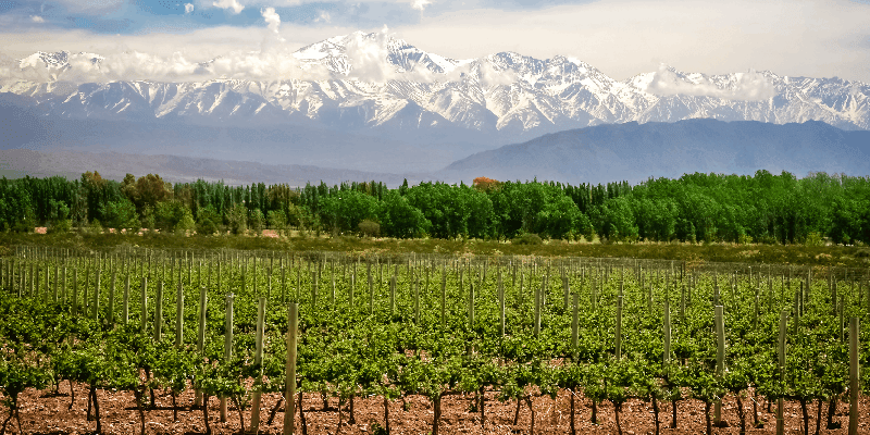 winery located in mendoza argentina