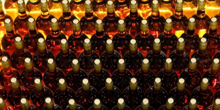 bottles of white wine laying horizontally on a wine rack